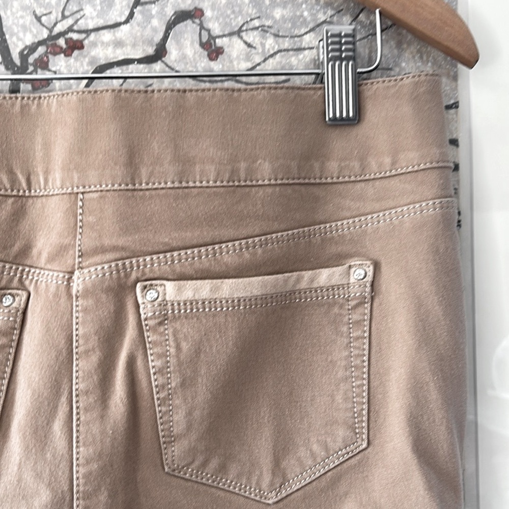 WHBM “Riding Pants” with Faux Suede Inserts - Picture 6 of 8